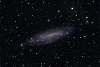 NGC 4236
